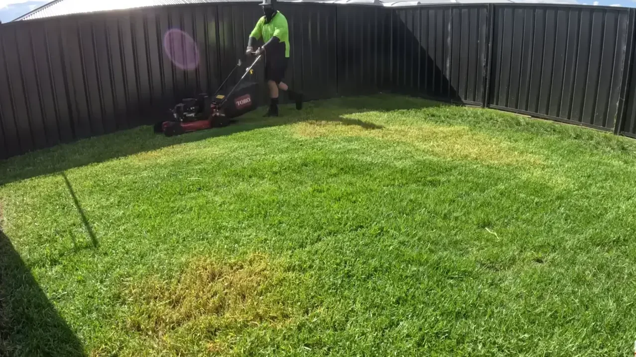 Lawn Care Abilene