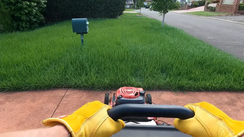Reliable lawn mowing and yard care in Abilene
