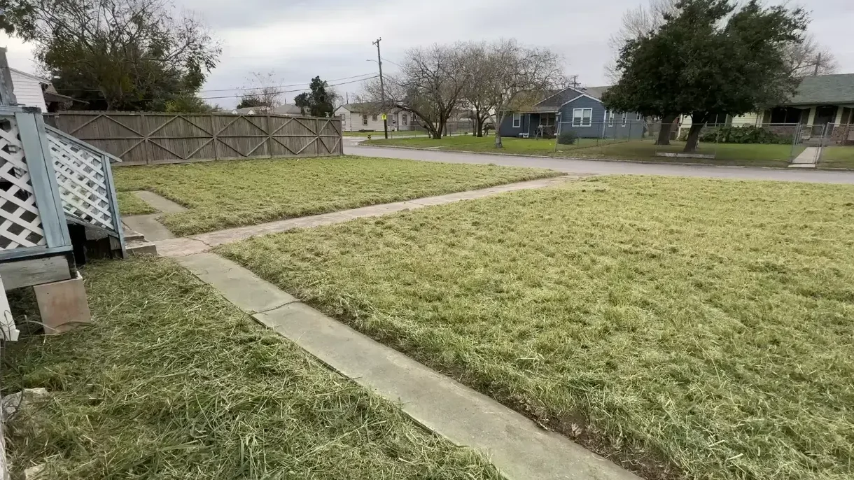 Residential lawn after service in Abilene Texas