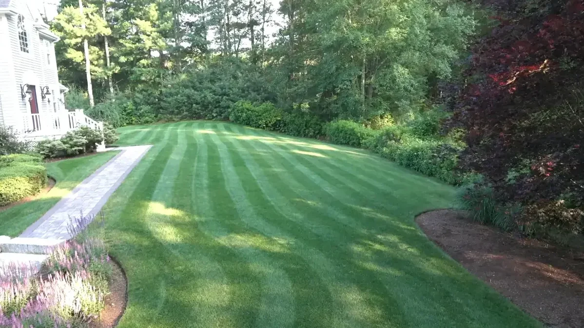 Healthy weed-free lawn in Abilene