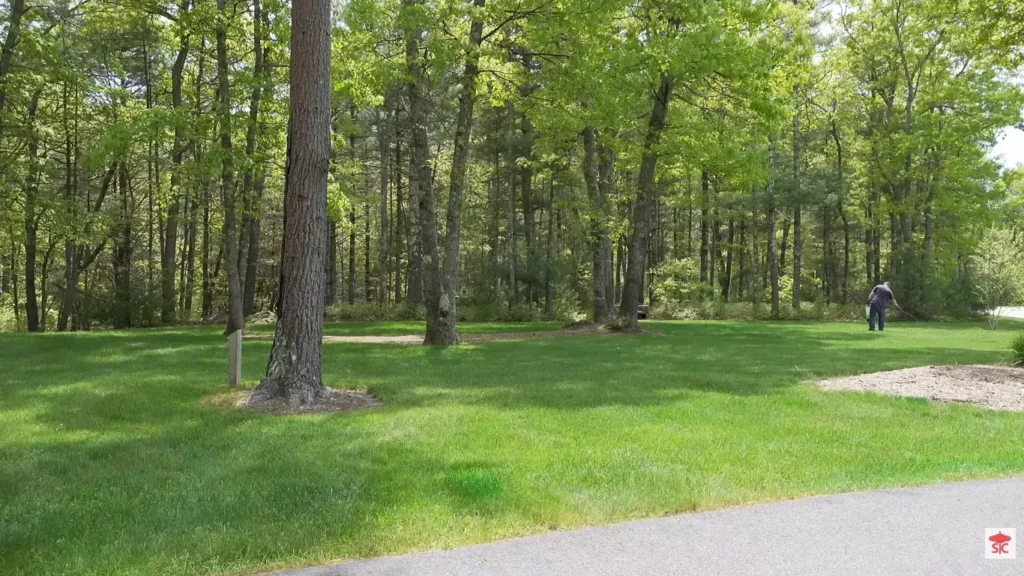 Clean residential yard following weed control service