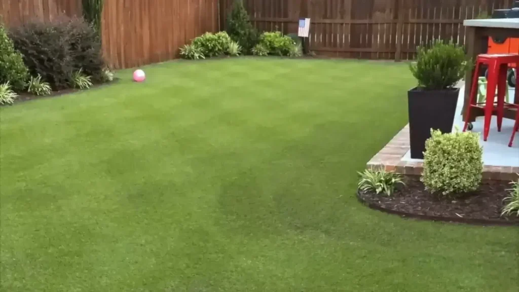 Lawn fertilization in Abilene TX
