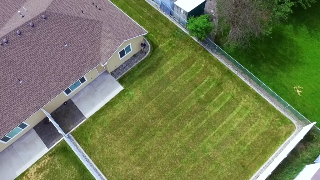 Clean and healthy lawn after regular maintenance in Abilene