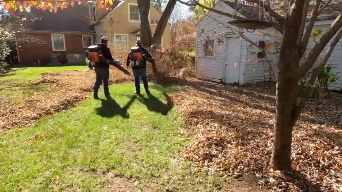 Leaf and debris removal service in Abilene TX