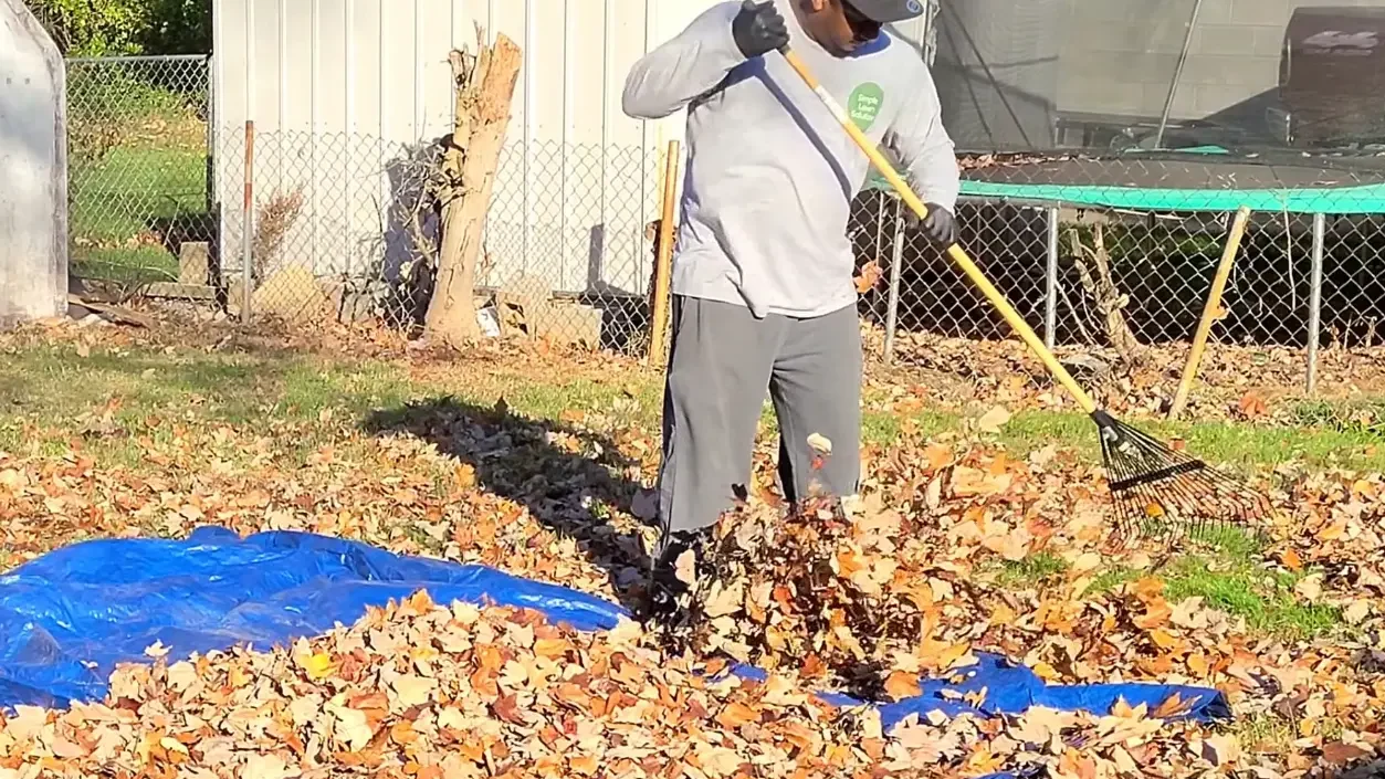 removing leaves from residential yard in Abilene