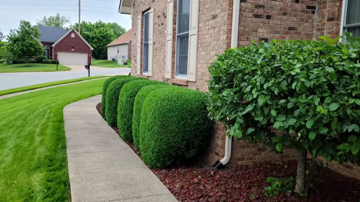 Shrub and edge trimming service in Abilene TX