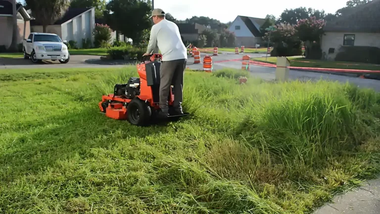 How Often Should You Mow Your Lawn in Abilene, TX?