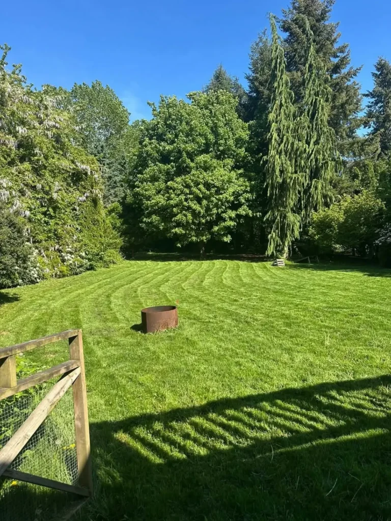 Abilene TX lawn care for residential properties
