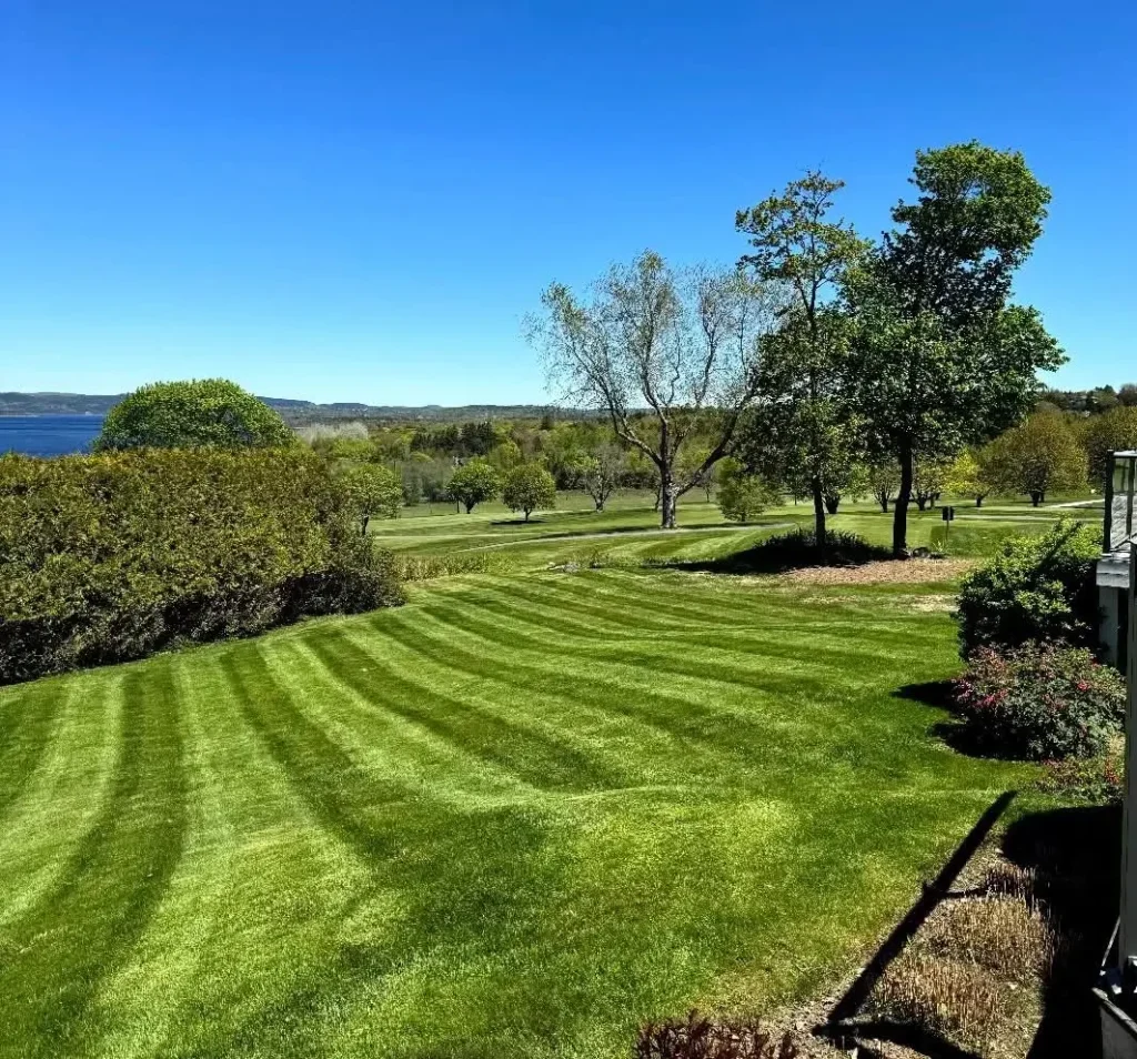 Freshly mowed lawn in Abilene